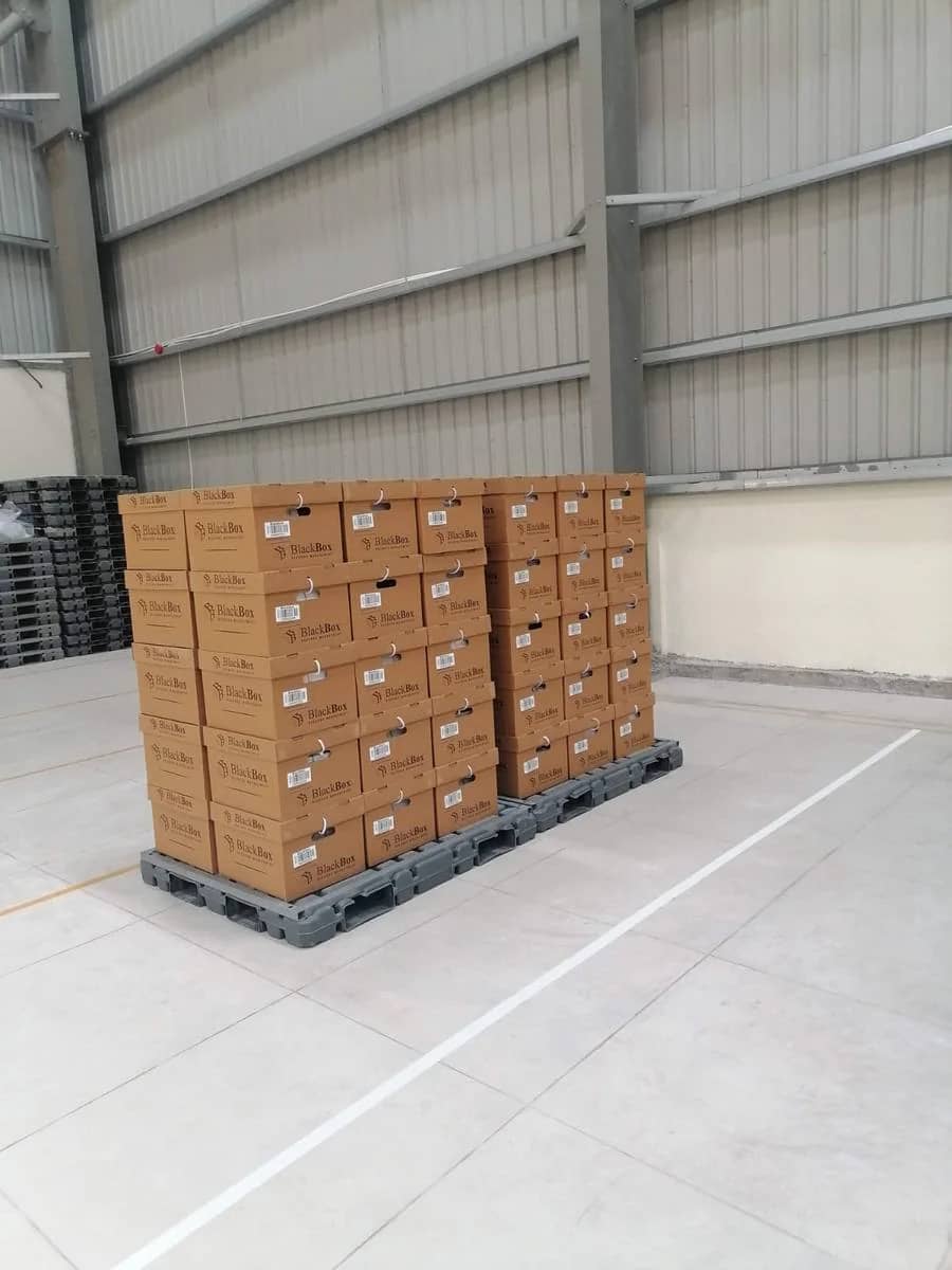 Barcoded Blackbox cartons palletised in the facility